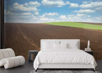 young green wheat and plowed field landscape agriculture Wall mural