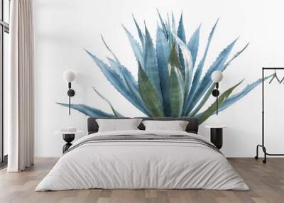 Agave plant isolated on white background. clipping path. Agave p Wall mural