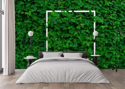 Mentha mint, green wall texture with white border Wall mural