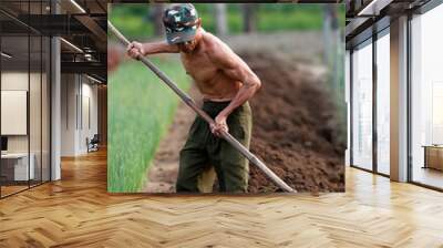 Organic vegetable gardens in Tra Que Village. Farmer digging  soil with  hoe.  Hoi An. Vietnam.  11.08.2017 Wall mural