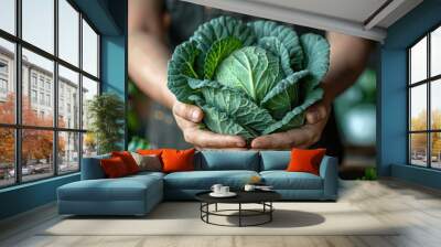 Freshly Harvested Green Cabbage Held in Hands Wall mural