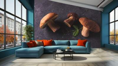 Forest mushrooms on a dark background Wall mural