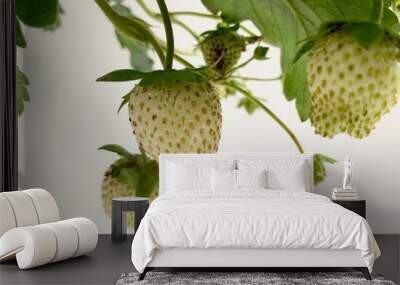 closed up of a white strawberries fruit on a white background Wall mural