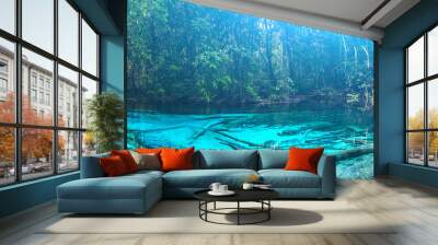 Emerald blue Pool. Krabi, Thailand. Wall mural