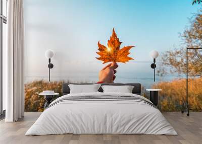 Male hand holding maple leaf against clear blue sky with sun light rays. Autumn time season. Wall mural