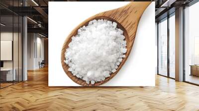 Sea salt isolated on white background Wall mural