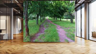 An old, 45-year-old path leading through a meadow and forest, often frequented - modern zoomed photos with a soft watercolor effect Wall mural