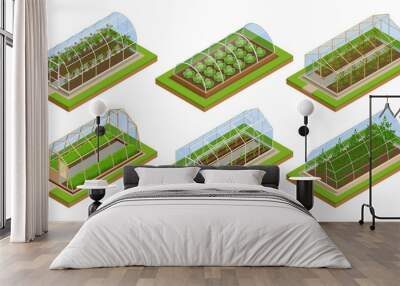 Isometric Greenhouse isolated on white. Growing seedlings in glasshouse. Plants crop in greenhouse Wall mural