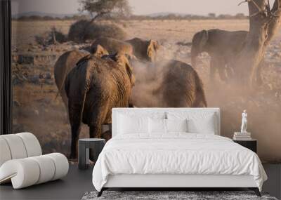 Telephoto shot of a herd of African Elephant -Loxodonta Africana- taking a bath in a waterhole in Etosha national Park. Wall mural