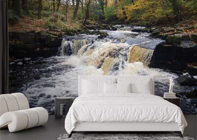 A fast-flowing river cascading over rocks, creating a beautiful waterfall effect. Wall mural