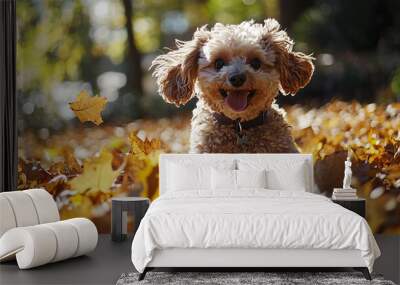 A fluffy dog playing in a pile of leaves Wall mural