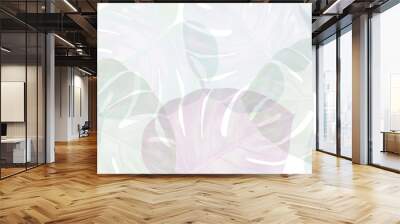 Tropical palm leaves Monstera on white background. Flat lay, top view,panoramic view Wall mural