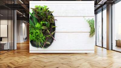 fresh herbs on plate and thyme flat lay copyspace. basil, parsley and chives on black plate at one s Wall mural