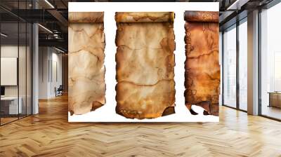 Set of ancient parchment scrolls, insolated on withe background, cut out Wall mural