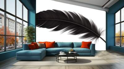 black feather isolated on white background Wall mural