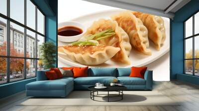 chinese food dumplings, mandu Wall mural