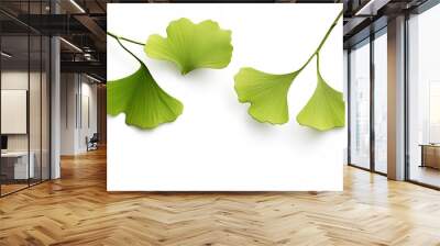 green leaf isolated on white Wall mural