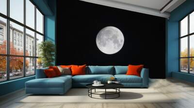 full moon in the night sky Wall mural