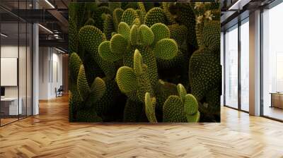 Desert flora. Yellow Opuntia microdasys or Angel Wings cactus closeup. Thorny leaves with beautiful texture. Wall mural