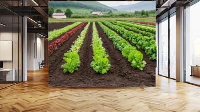 A vibrant vegetable farm with rows of lettuce and leafy greens under a cloudy sky. Wall mural