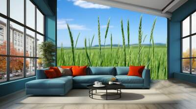 Lush green grass swaying under a clear blue sky in a serene landscape. Wall mural