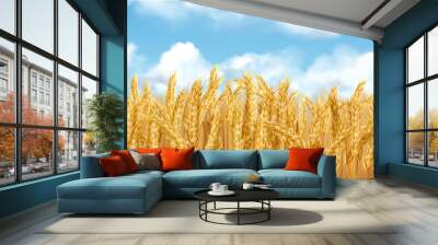 3D realistic vector gold wheat field and blue sky with clowds Wall mural