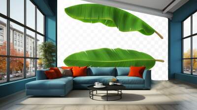 3d realistic vector green fresh leaves with banana or palm trees, top view, side view Wall mural