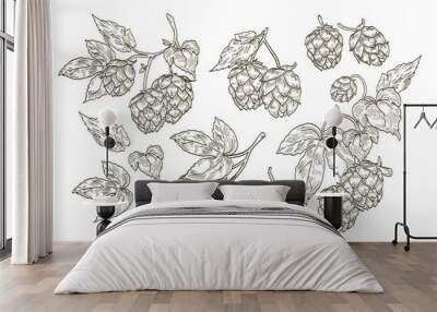 collection of elegant botanical drawings of hop parts. set of contour flowers and leaves of plant is Wall mural