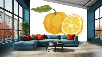 Composition of fresh ripe yuzu, yellow Japanese citrus fruit. Asian whole citron and its cut half. Realistic drawing in vintage style. Hand-drawn vector illustration isolated on white background Wall mural