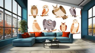 Cute owl birds set. Funny owlets, feathered animals, sitting on tree branches and watching for smth with bulging eyes. Amusing smart birdies. Flat vector illustration isolated on white background Wall mural