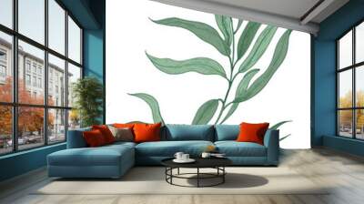 Eucalyptus Sprig with Green Leaves Hand Drawn Illustration Wall mural