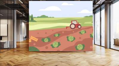 Farm vegetable garden. Tractor collecting harvest in country agriculture field. Cabbage crops growing in farmland. Countryside plantation landscape. Flat vector illustration of rural scenery panorama Wall mural