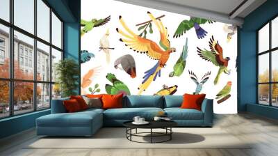 Set of different tropical parrots vector illustration. Collection of colored birds with feathers and wings isolated on white. Exotic creature with beak flying, eating and sitting on branch Wall mural