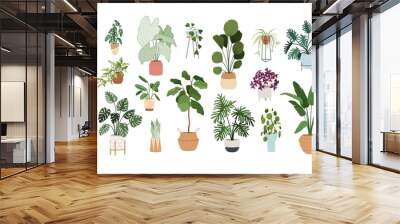 Set of trendy potted plants for home. Different indoor houseplants isolated on white background. Alocasia, begonia, fan palm, monstera, ficus, strelitzia and oxalis. Colored flat vector illustration Wall mural