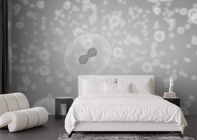 Scientific illustration of cells dividing by osmosis, background with cells, 3D render illustration Wall mural