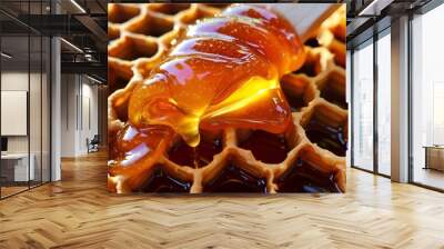 A close-up of a honeycomb dripping with fresh honey. Wall mural