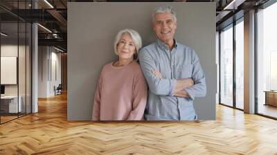  Lovely portrait of attractive senior couple on grey background Wall mural