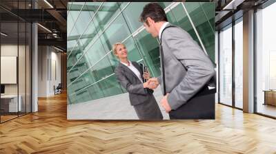 Business people shaking hands after meeting Wall mural