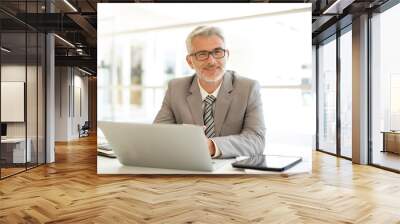 Mature businessman sitting at desk looking at camera Wall mural