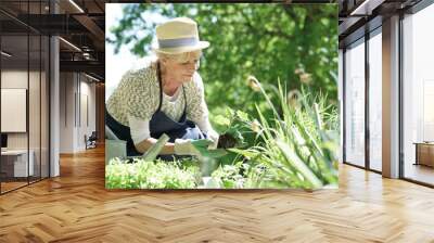 Senior woman gardening on beautiful spring day Wall mural