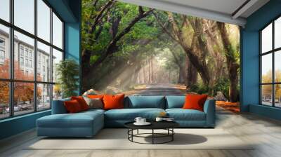 Abstract background of route and journey amidst the big tree and beautiful nature Wall mural