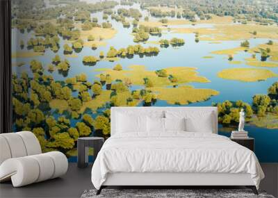 Flood in Kopacki rit Nature Park, Croatia Wall mural