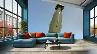 Atomic bomb. 3D rendering Wall mural