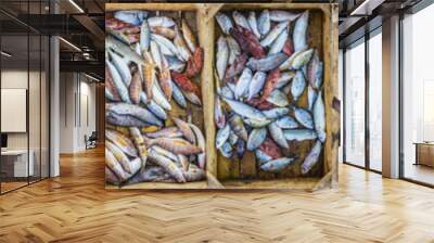 Fresh fish at a market in a Mediterranean port, collage Wall mural