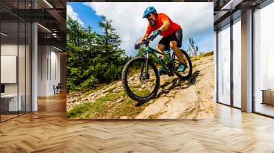 Mountain biker riding on bike in summer mountains forest landscape. Man cycling MTB flow trail track. Outdoor sport activity. Wall mural