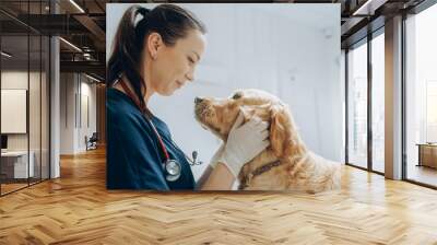 Beautiful Female Veterinarian Petting a Noble Golden Retriever Dog. Healthy Pet on a Check Up Visit in Modern Veterinary Clinic with Happy Caring Doctor Wall mural