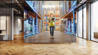 Futuristic Technology Retail Warehouse: Worker Doing Inventory Walks when Digitalization Process Analyzes Goods, Cardboard Boxes, Products with Delivery Infographics in Logistics, Distribution Center Wall mural