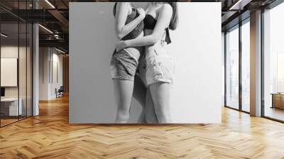 Two fashion sexy romantic beautiful girls in jeans shorts having Wall mural