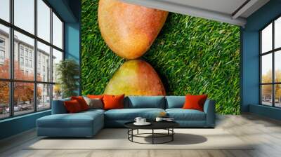 ripe fresh colorful mango on a green background  Wall mural