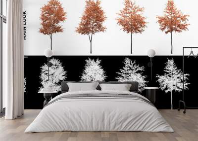 Front views of Alder Trees with alpha mask to cutout and PNG editing. Forest and Nature Compositing. Wall mural